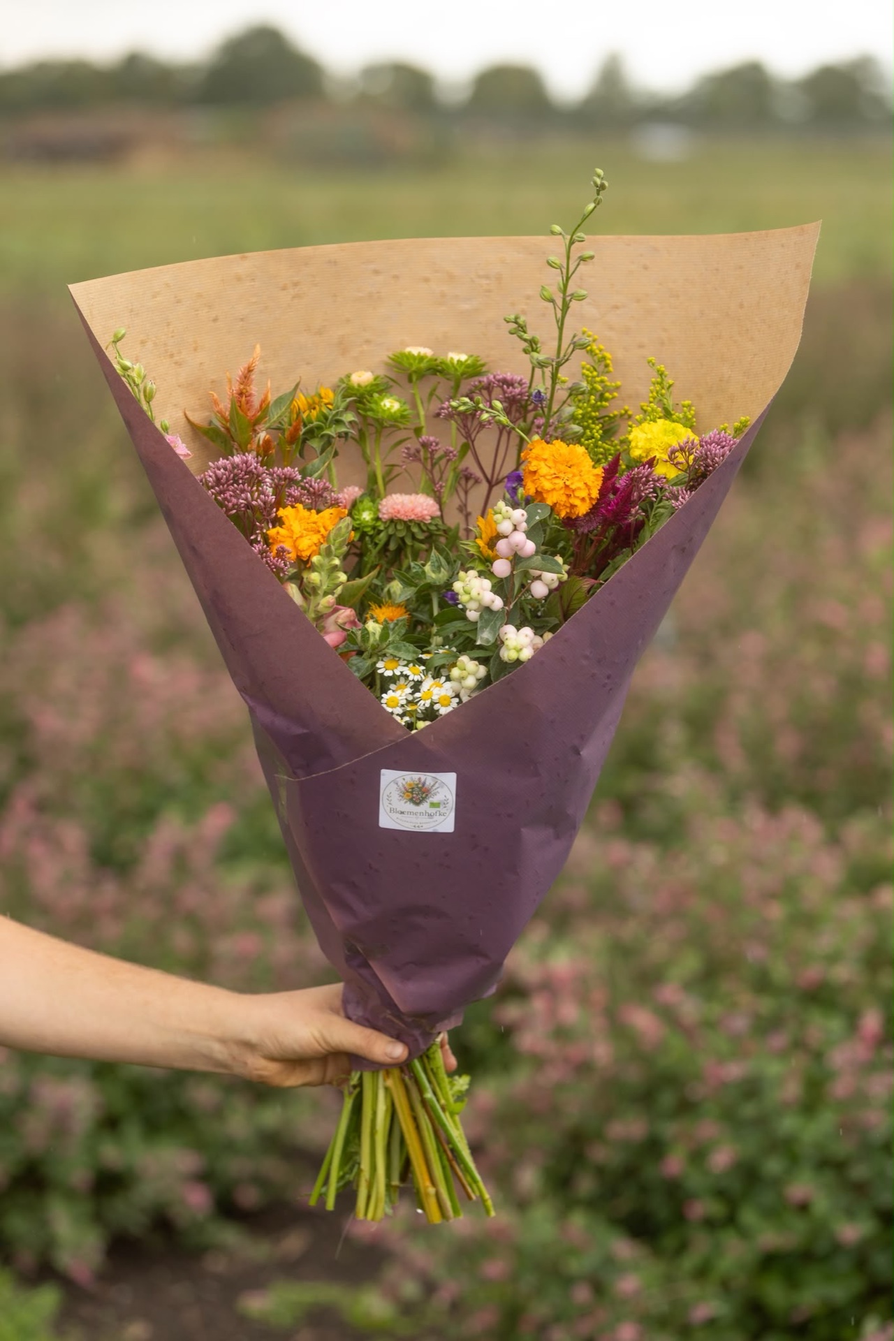 Biologisch boeket van Bloemenhofke in paarse verpakking
